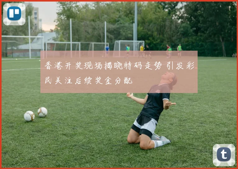 香港开奖现场揭晓特码走势 引发彩民关注后续奖金分配
