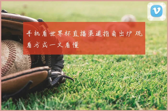 手机看世界杯直播渠道指南出炉 观看方式一文看懂
